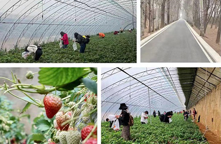 大气所开展 “三八节”纪念活动——春日“莓”好  采摘踏青