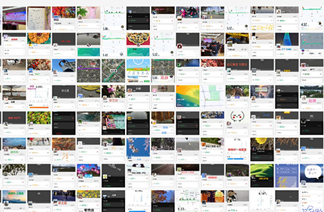 地质与地球物理研究所开展妇女节系列活动