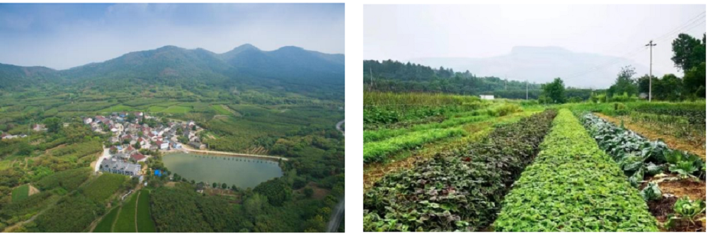 微信截图_20220330162929