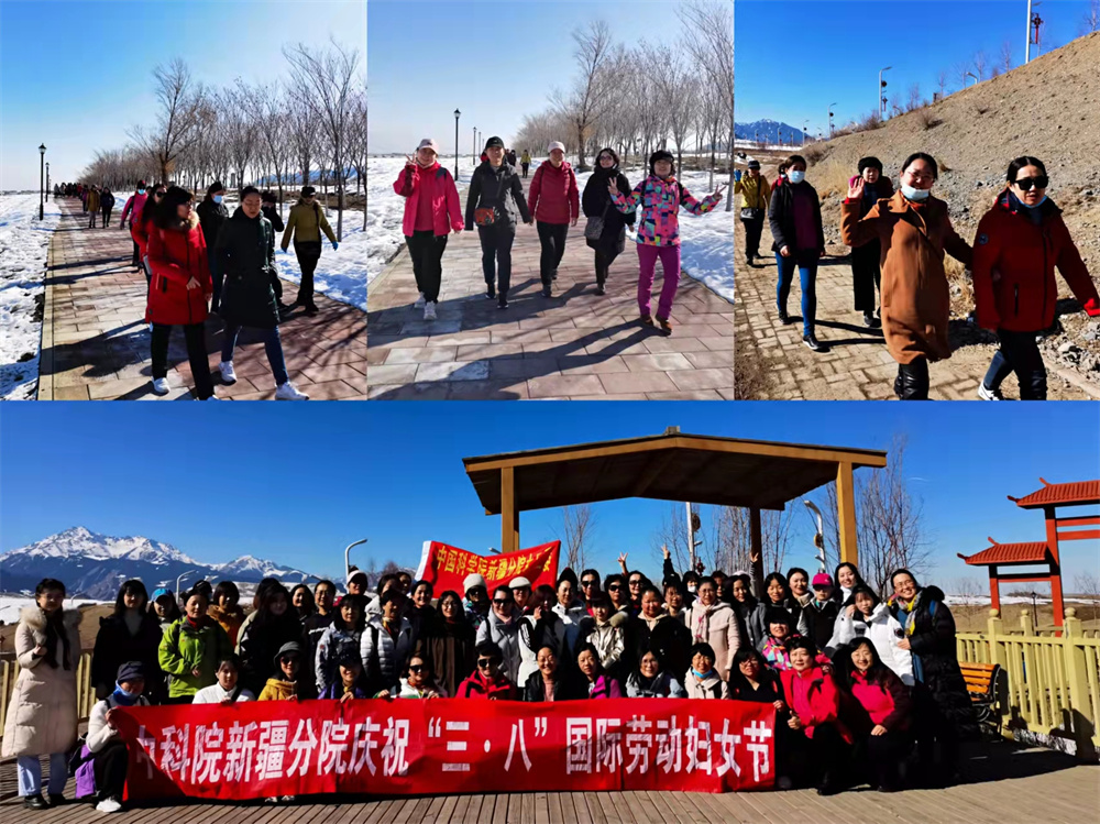 新疆分院“健康生活,快乐工作,喜迎二十大”庆三八徒步活动