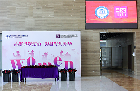 占据半壁江山 彰显时代芳华