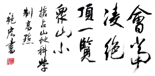 会当凌绝顶，一览众山小