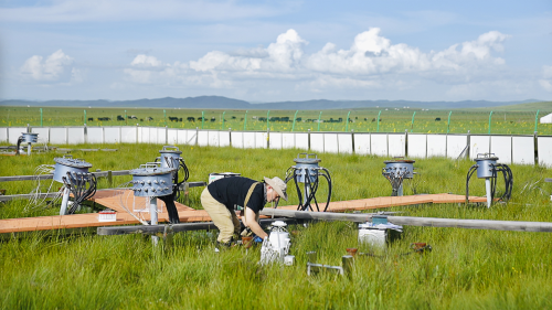 保护最美高寒湿地
