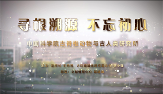 寻根溯源·不忘初心