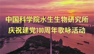 党啊，亲爱的妈妈