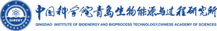 中国科学院青岛生物能源与过程研究所